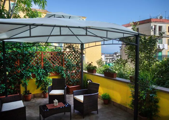 Suite Avenia